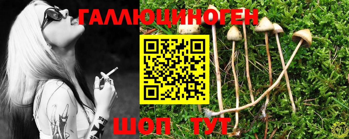 Галлюциногенные грибы Psilocybe Лесной