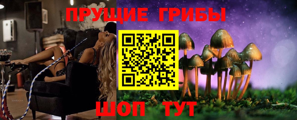 Псилоцибиновые грибы мицелий  Псилоцибиновые грибы Cubensis  Вход с VPN  Лесной 