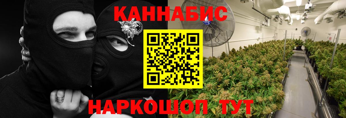 Канабис марихуана  Канабис план  Вход с VPN  Конопля THC 21%  Лесной 